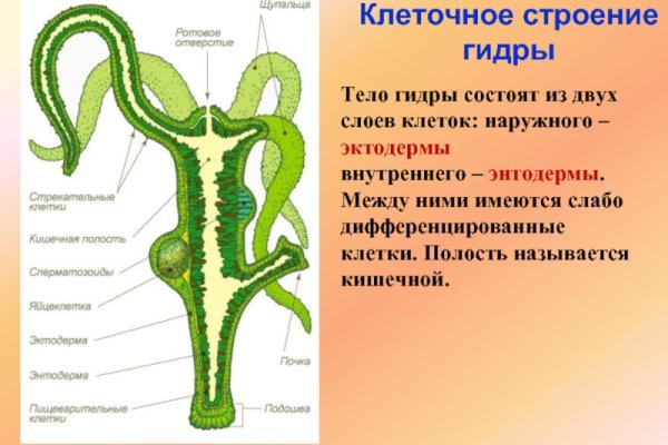 Кракен ссылка тор браузер