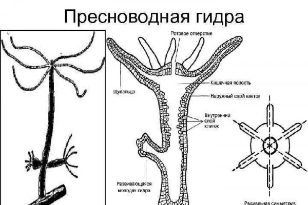 Кракен доставка